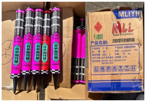 DRI seizes 30,000 smuggled firecrackers worth ₹5 cr at Mundra port, one arrested